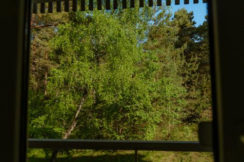 20260602_nidos_skalva_did_dsc06463_copy